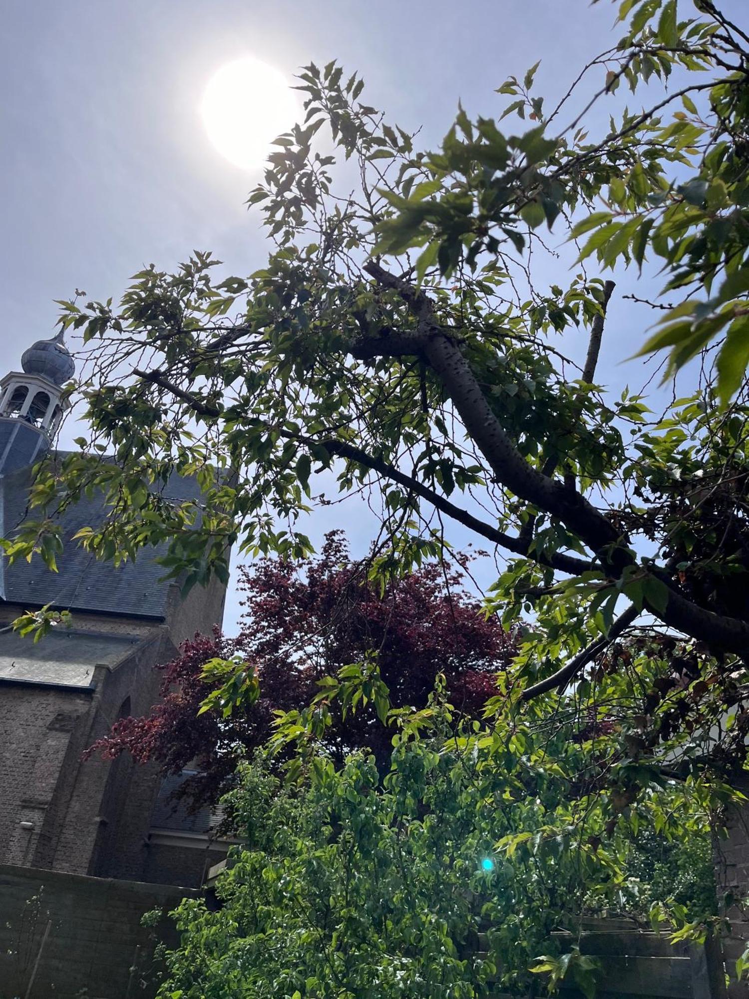Appartement 'T-Yesenaertje 예르세케 외부 사진